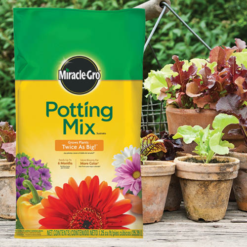Miracle-Gro Potting Mix with Fertilizer