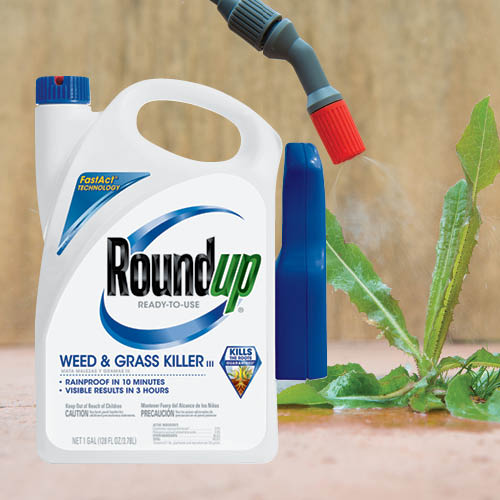 Roundup