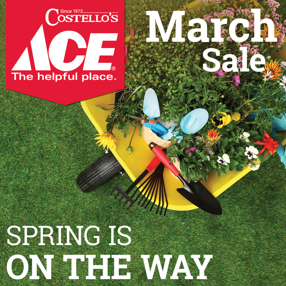 March Sale - Costello's Ace