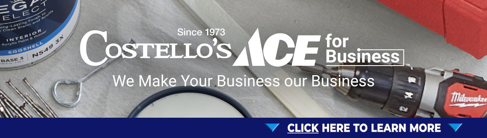 Costello's ACE for Business Header