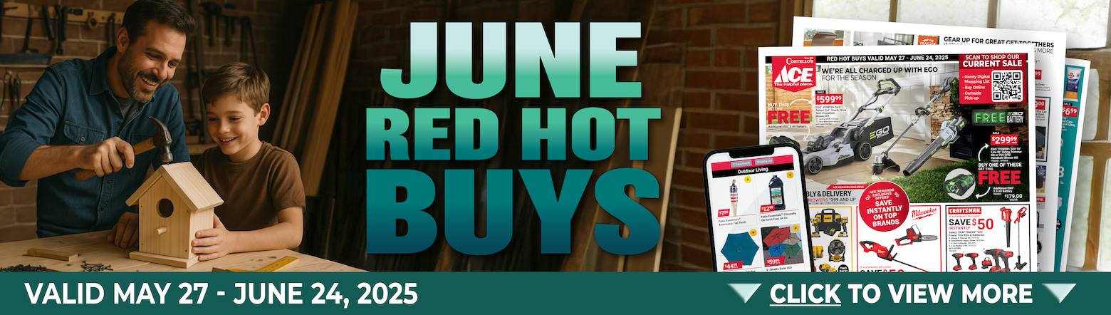 June Red Hot Buy Header