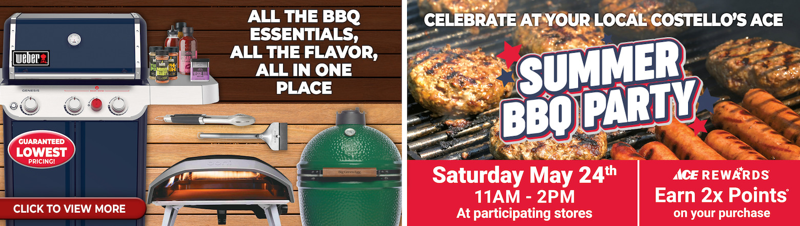 Summer BBQ Party Header