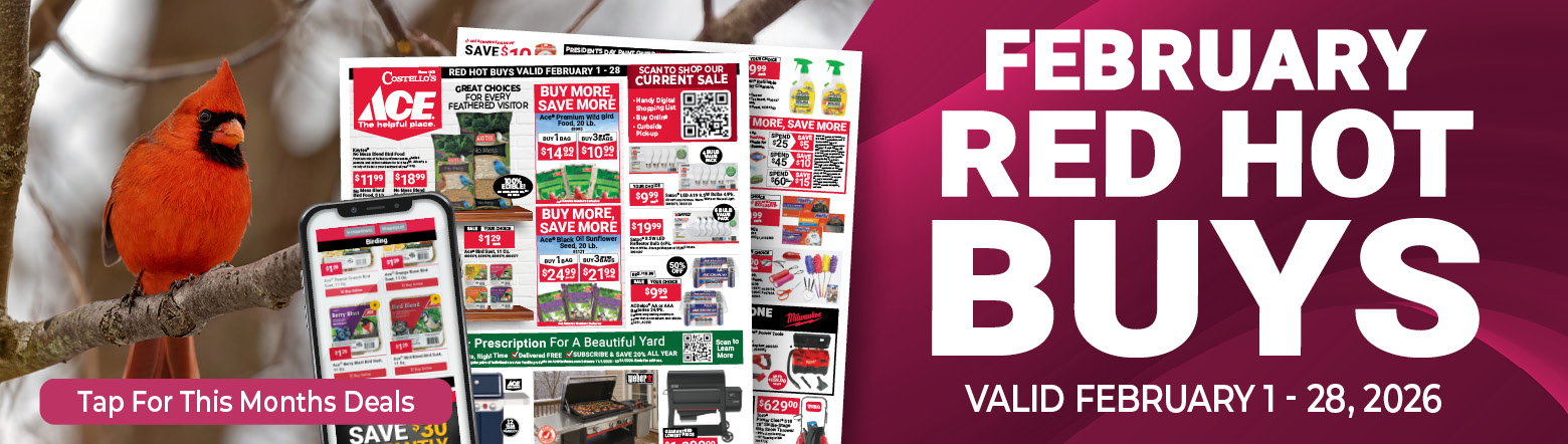 February Red Hot Buy Header