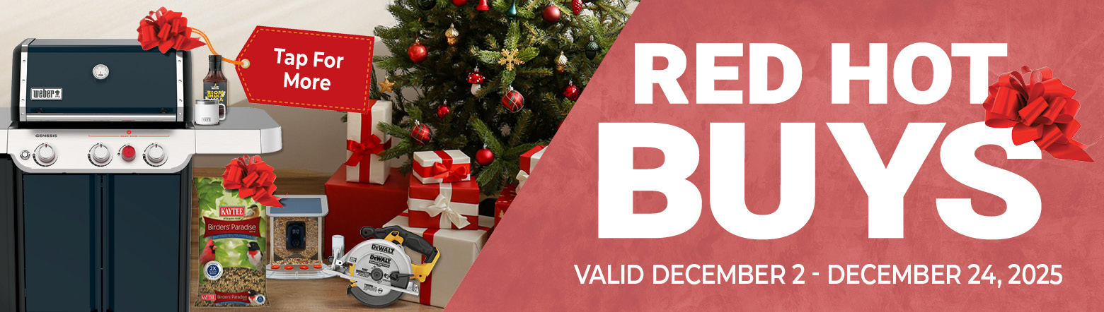 December Red Hot Buy Header