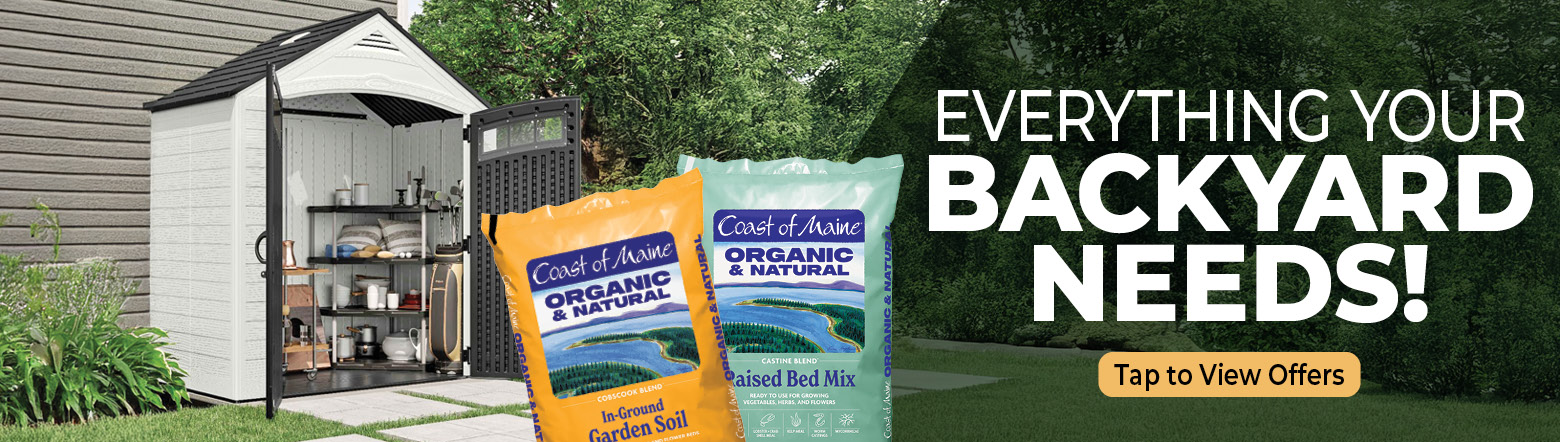 Everything your Backyard Needs Header