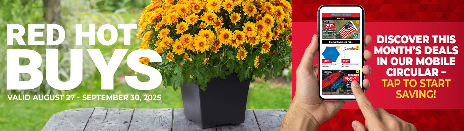 September Red Hot Buy Header