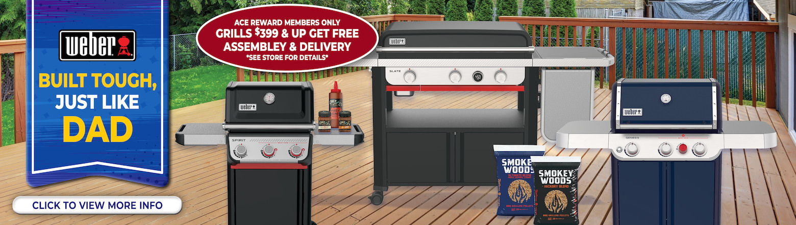 Weber Fathers Day Sale Header