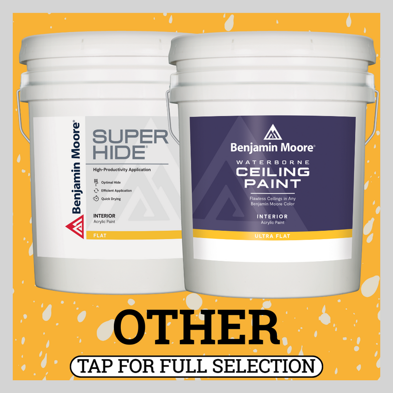 Other Paint Products