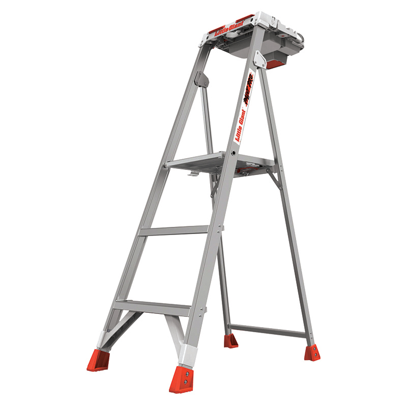 Little Giant® 5' Paint Pro Ladder