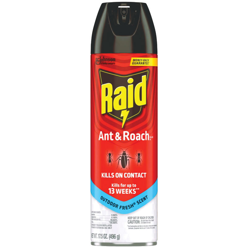 Raid® Ant & Roach Aerosol Outdoor Fresh Scent, 17.5 Oz. 