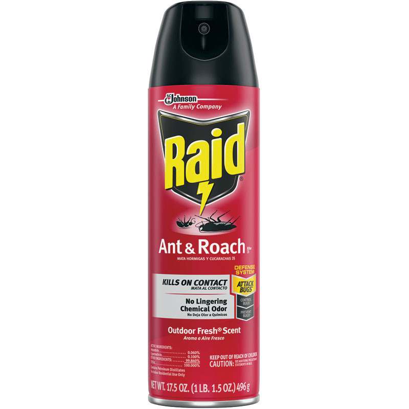 Raid® Aerosol Ant And Roach Killer, 17.5 Oz.