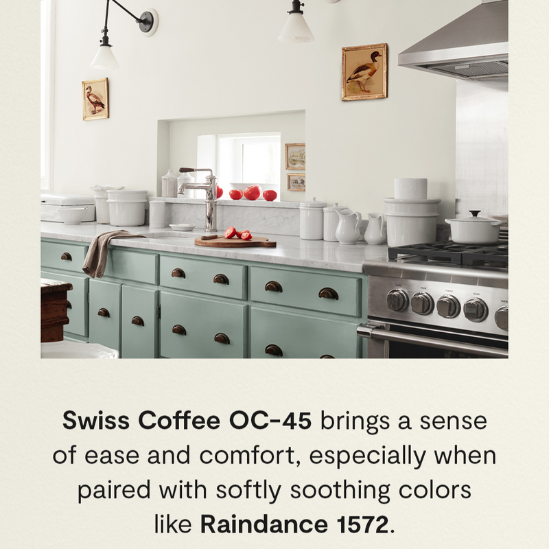 swiss coffee color inspo 2