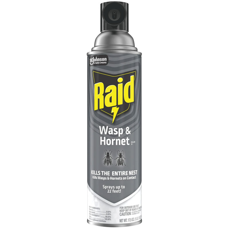 Raid® Wasp & Hornet Killer Spray, 17.5 Oz. 