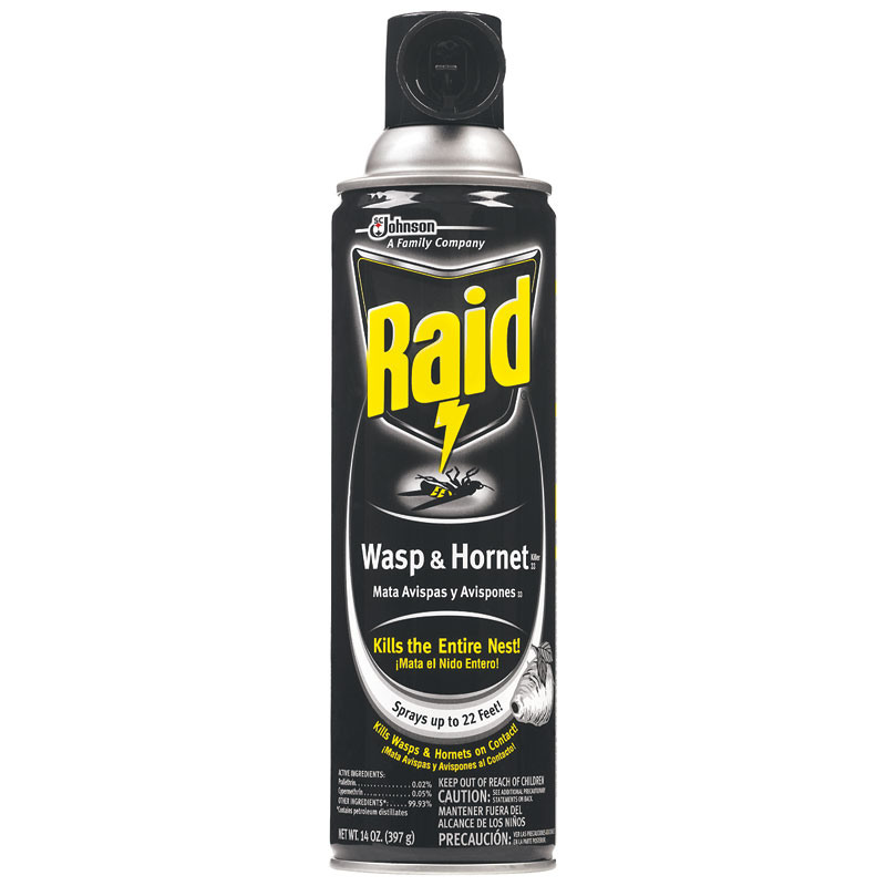 Raid® Wasp & Hornet Spray, 14 Oz.