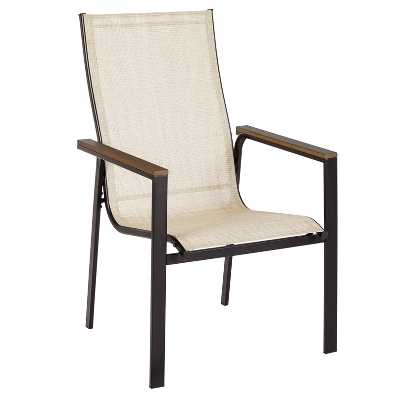Living Accents Black Steel Frame Sling Chair