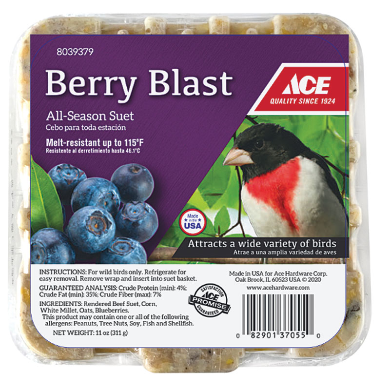 Ace® Berry Blast Bird Suet, 11 Oz.