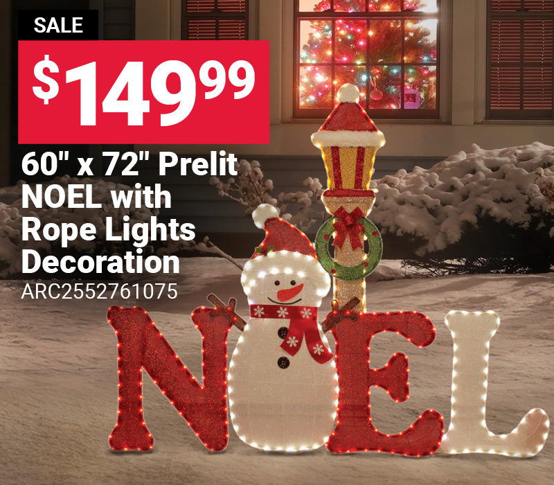 60" x 72" Prelit NOEL with Rope Lights Decorations