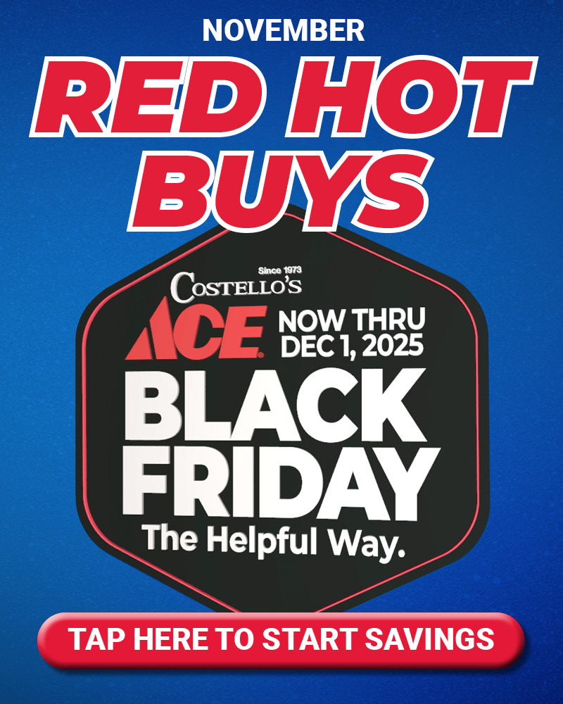 November Red Hot Buys MC