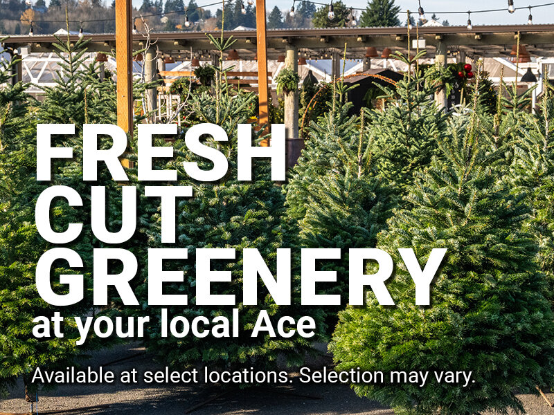 Fresh Cut Greenery at Your Local Ace