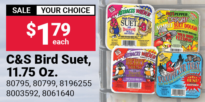 Your Choice C&S Bird Suet