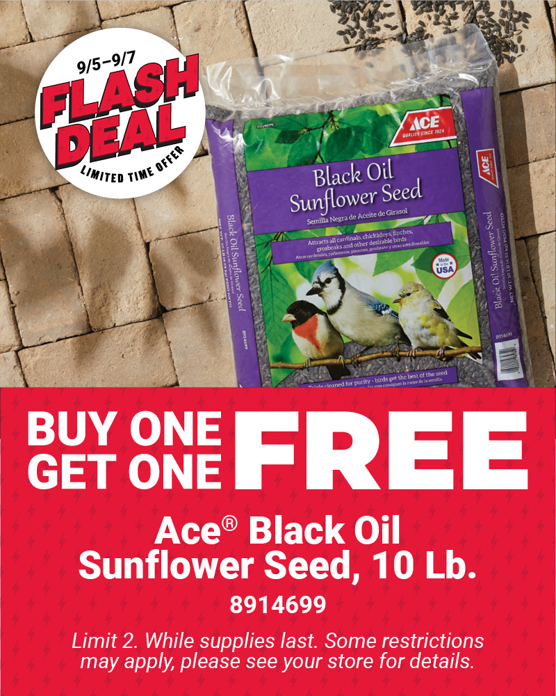 ACE® Black Oil Sunflower Seed, 10 Lb.