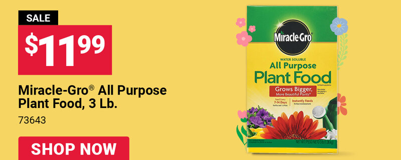 Miracle-Gro® All Purpose Plant Food, 3 Lb.