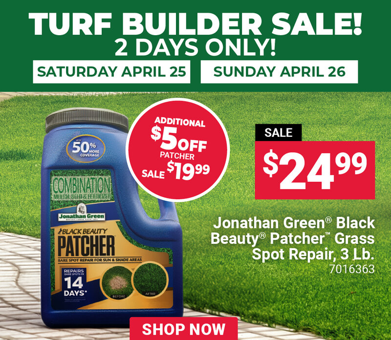 Jonathan Green® Black Beauty® Patcher™ Grass Spot Repair, 3 Lb.