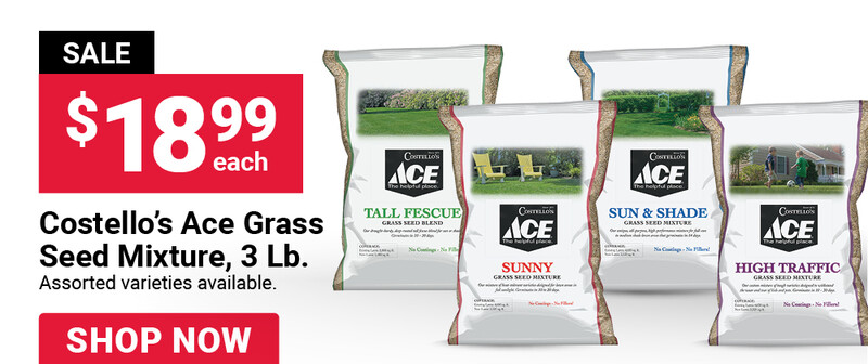Costello’s Ace Grass Seed Mixture