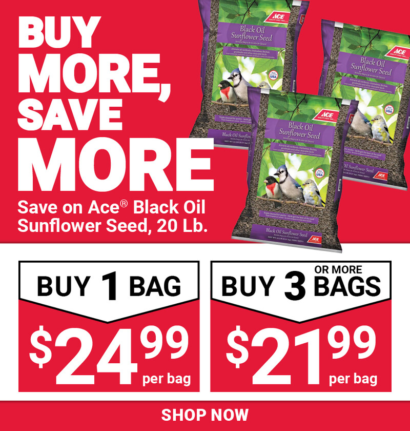 BMSM Ace® Black Oil Sunflower Seed
