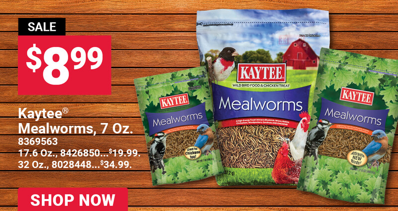 Kaytee®  Mealworms
