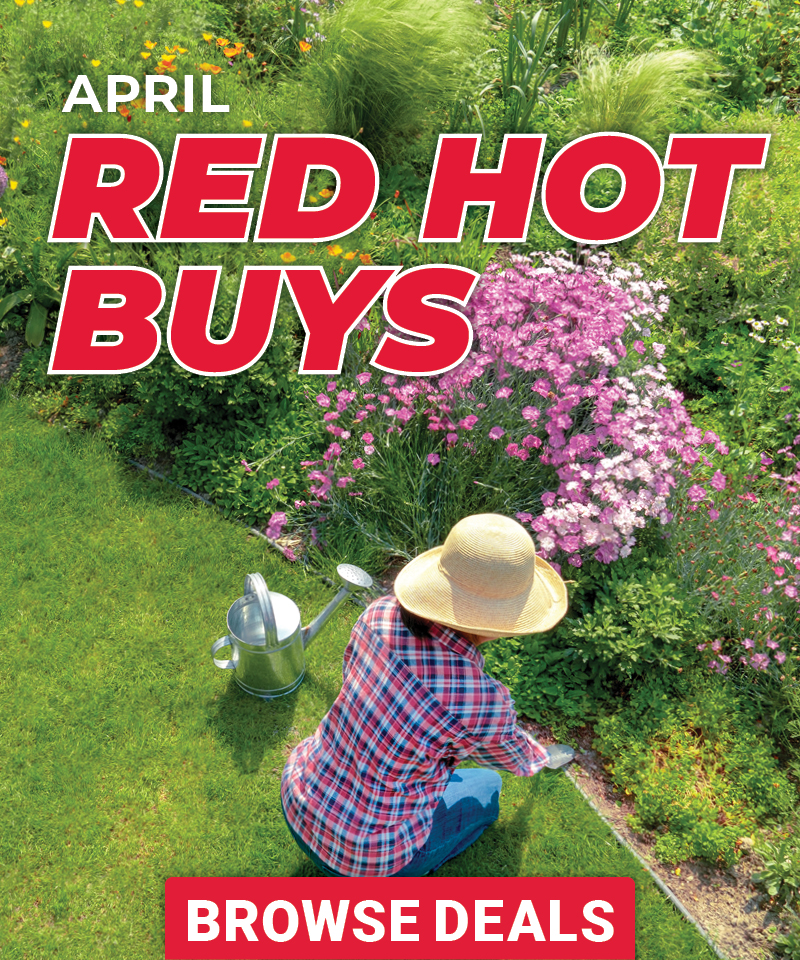 Red Hot Buys - April Callout 1/2