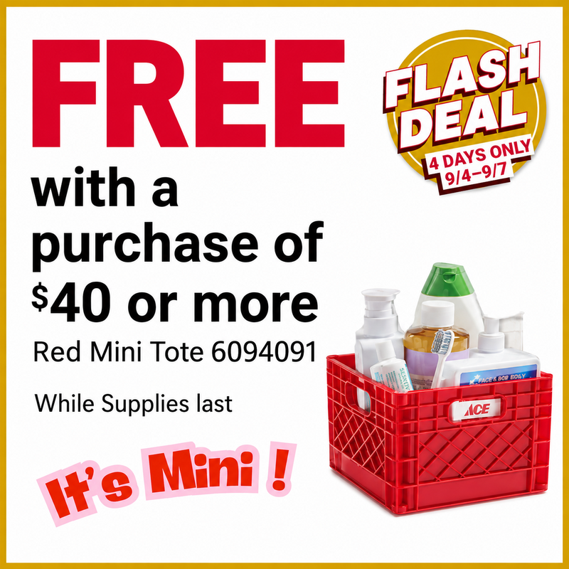 Red Mini Tote Flash Deal