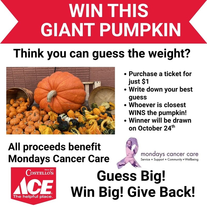 Costello's Ace Hardware of Copiague Giant Pumpkin Contest 