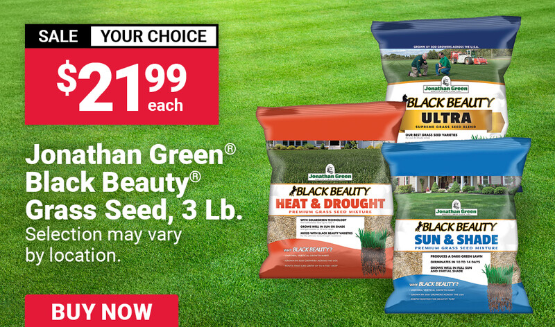 Jonathan Green® Black Beauty® Grass Seed, 3 Lb.