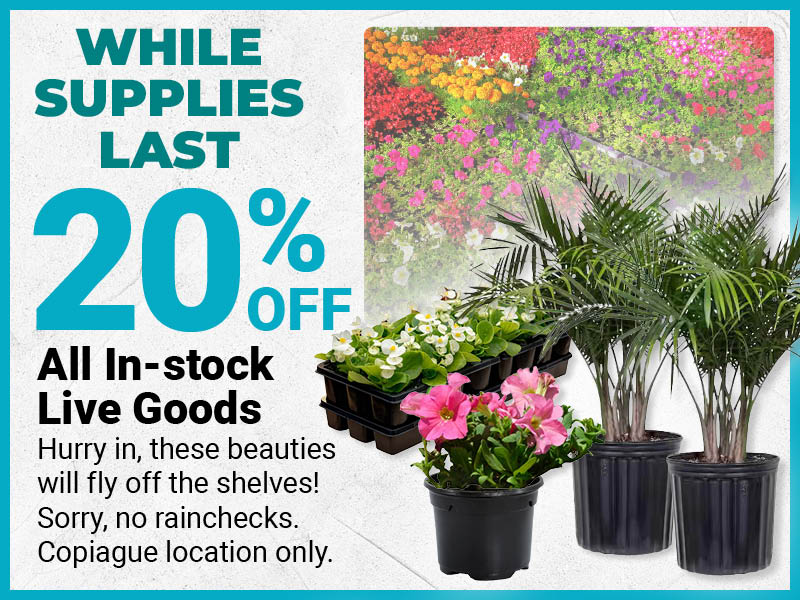 Copiague Live Goods Deal