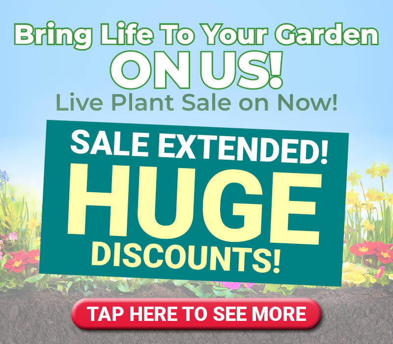 Edgewater Plant Deals