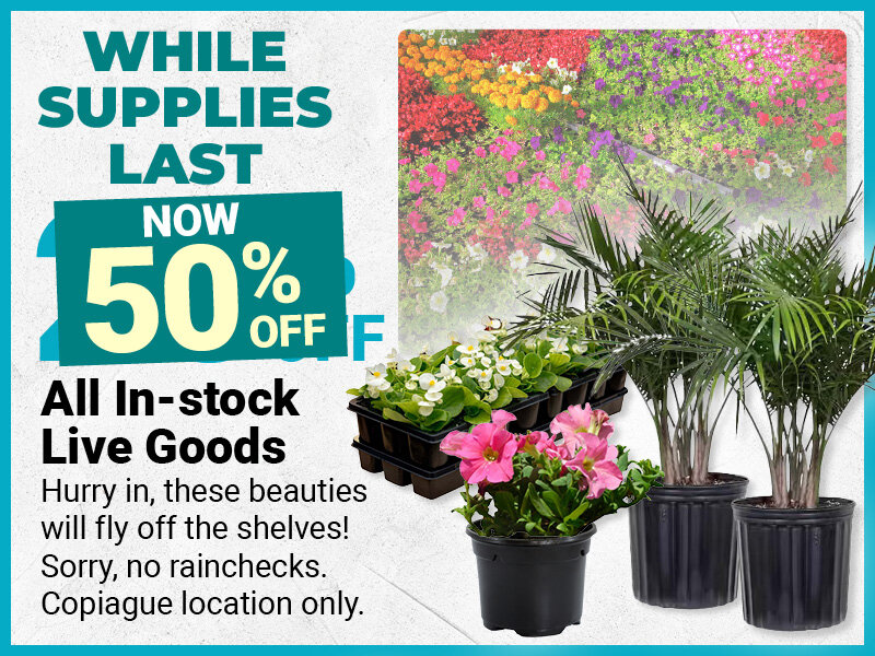 Copaigue Live Goods Blowout!