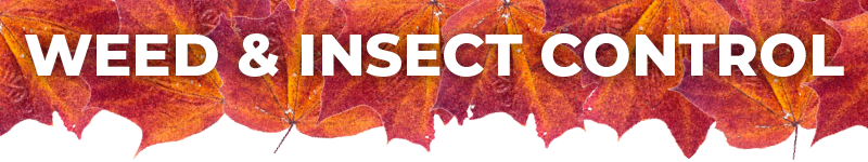 Weed & Insect Control