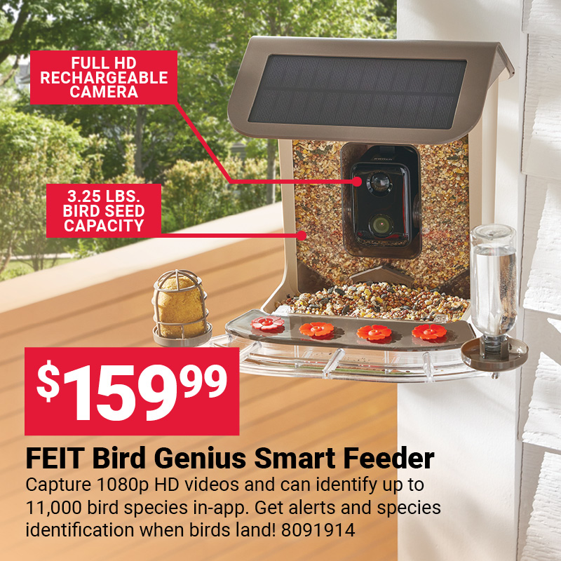 FEIT Bird Genius Smart Feeder