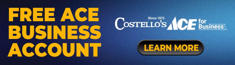 Open a Free Ace Business Account