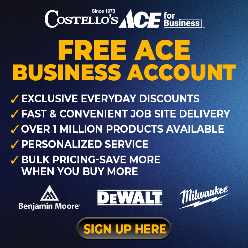 Free Ace Business Account