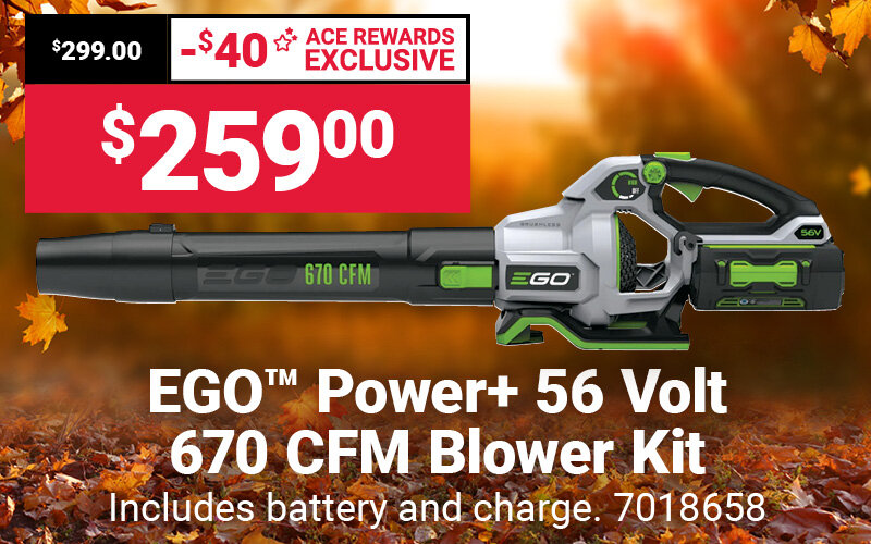 EGO™ Power+ 56V 670 CFM Blower Kit