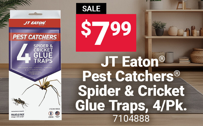 JT Eaton® Pest Catchers® Spider & Cricket Glue Traps, 4/Pk.