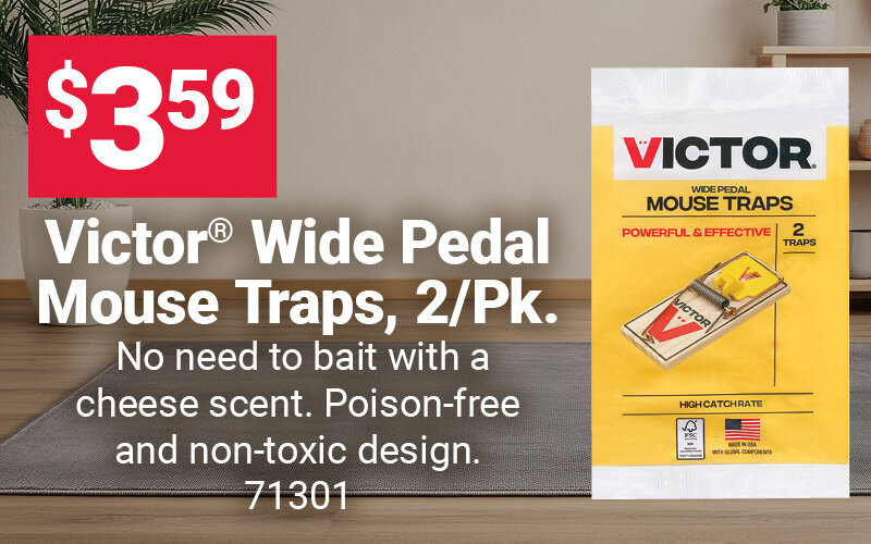 Victor® Wide Pedal Mouse Trap, 2/Pk.