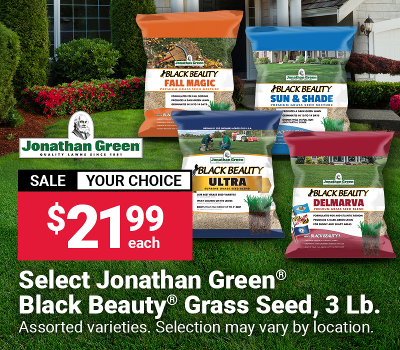 Select Jonathan Green® Black Beauty® Grass Seed, 3 Lb.