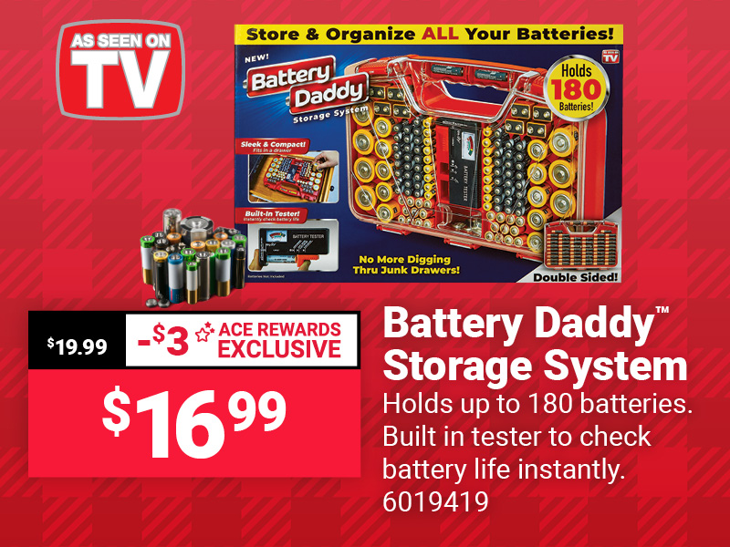 Battery Daddy™ Storage System