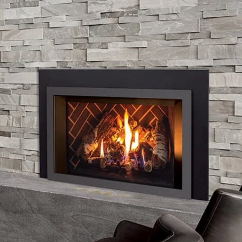 Enviro E33I Gas Insert