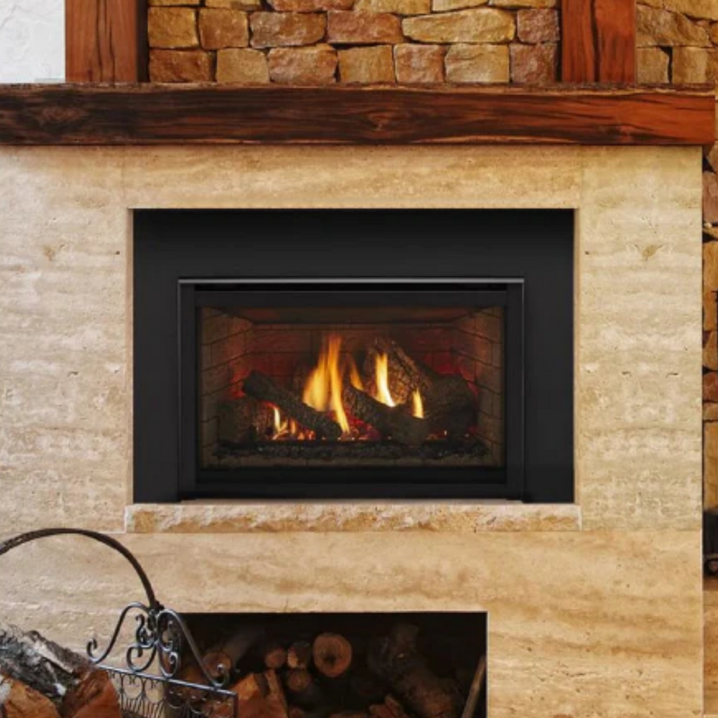 Quadra-Fire Excursion III Gas Insert
