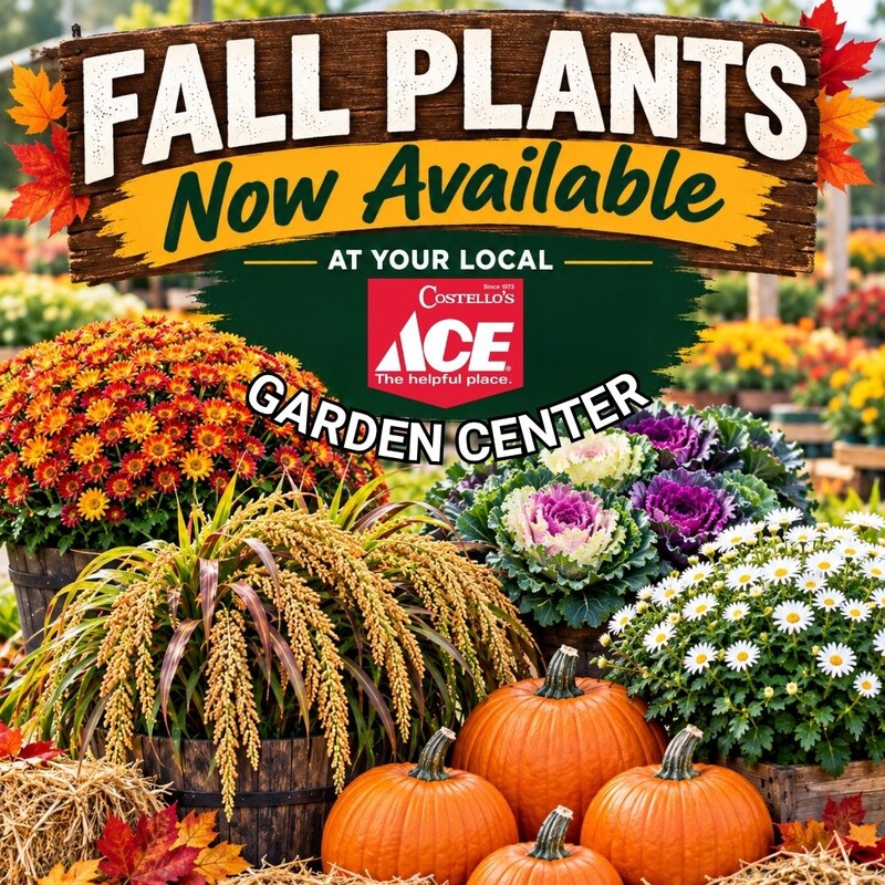 Garden Center Fall 
