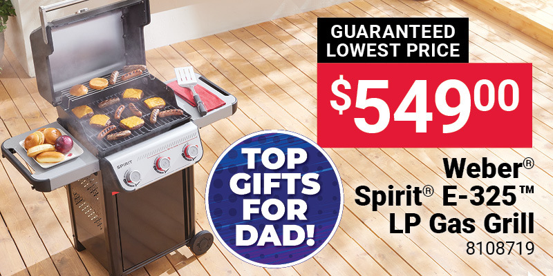 Weber® Spirit® E-325™ Gas Grill